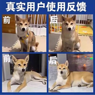 柴犬增肥发腮营养补充剂狗狗开胃增食欲复合维生素宠物营养品