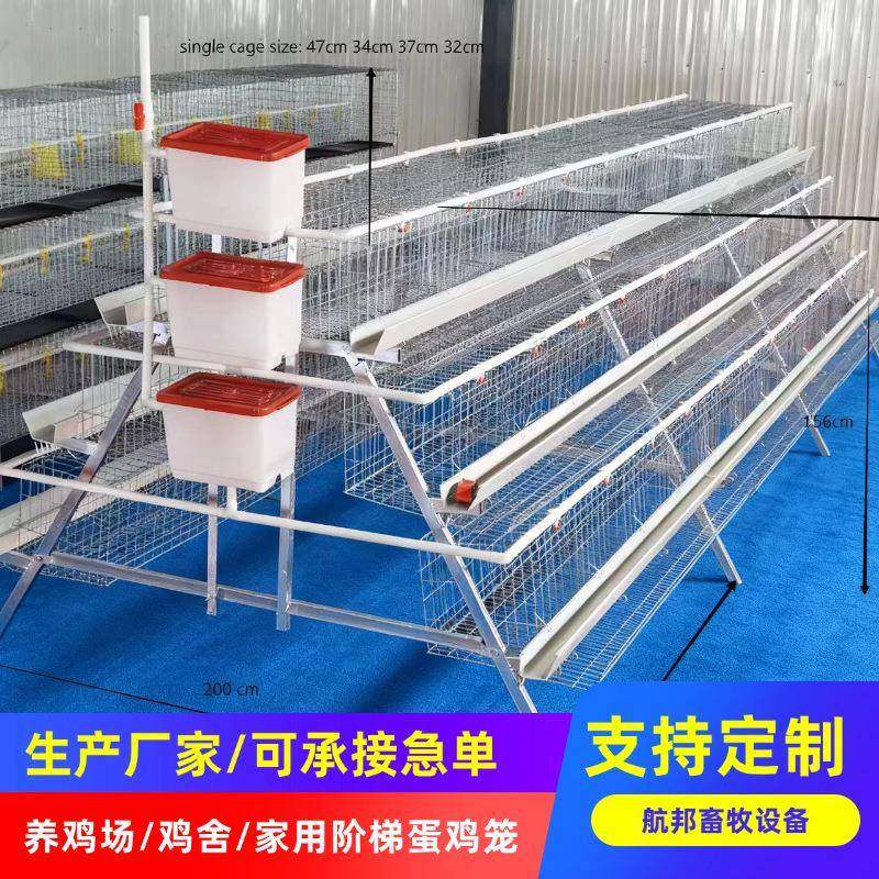 厂家供应热镀锌阶梯蛋鸡笼养殖场鸡鸭梯形鸡笼养殖鸡笼设备定制,畜牧/养殖物资,特种养殖设备,淘宝优惠券,粉丝福利购,淘宝优惠卷