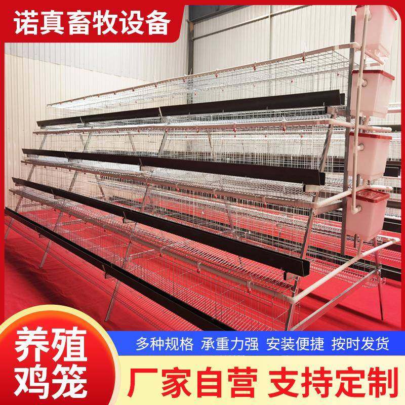 蛋鸡笼单边4层4层家用养殖鸡笼加粗阶梯式鸡笼,畜牧/养殖物资,特种养殖设备,淘宝优惠券,粉丝福利购,淘宝优惠卷