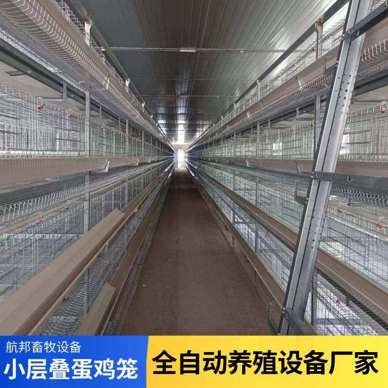自动蛋鸡笼养殖小层叠全自动蛋鸡笼喂料鸡舍自动捡蛋集蛋鸡笼设备,畜牧/养殖物资,特种养殖设备,淘宝优惠券,粉丝福利购,淘宝优惠卷