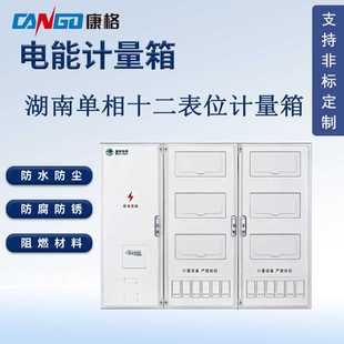 湖南款 防水电表箱配电箱壳 国网标准单相十二表位电能计量箱 塑料