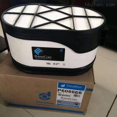 蜂窝滤芯P608666蜂窝空气滤芯现货供应