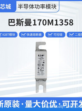 巴斯曼直流低压熔断器170M1358电路保护底座现货