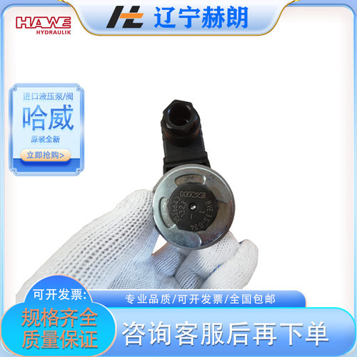 哈威全新换向阀 BVE3R-X24-1/2液压阀 HAWE进口油阀 液压泵配件