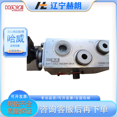 BVH 11 G/GM/RH/ABRX 1,5 E/BBRX 1,0 E-XM 24液压阀 哈威换向阀