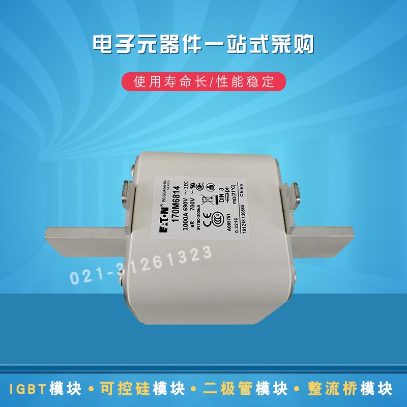 全新巴斯曼熔断器170M6862 6863 6864 6865 6866 6867 6868 6869