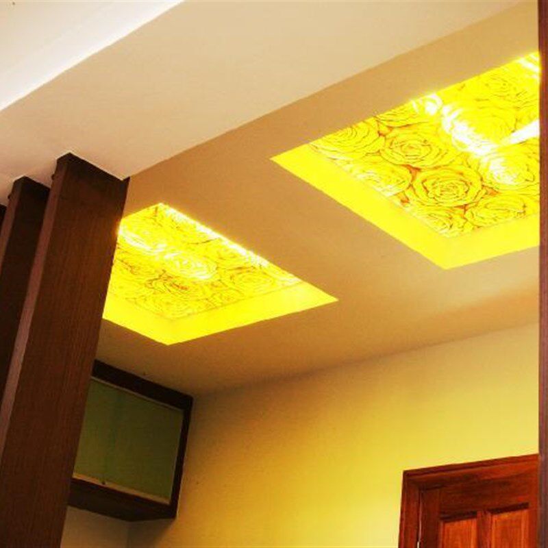 定制彩绘钢化艺术玻璃玄关隔断走廊打灯天花吊顶灯罩子金黄玫瑰花