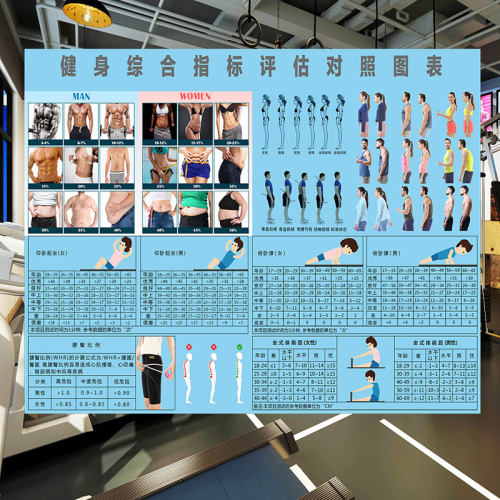 体适能训练综合指标评估对照图表健身房私教姿势体测室墙体脂壁画