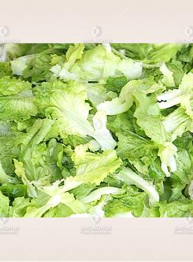 商用厨房食堂臭氧果蔬清洗机预制菜设备净菜加工机器气泡洗菜机