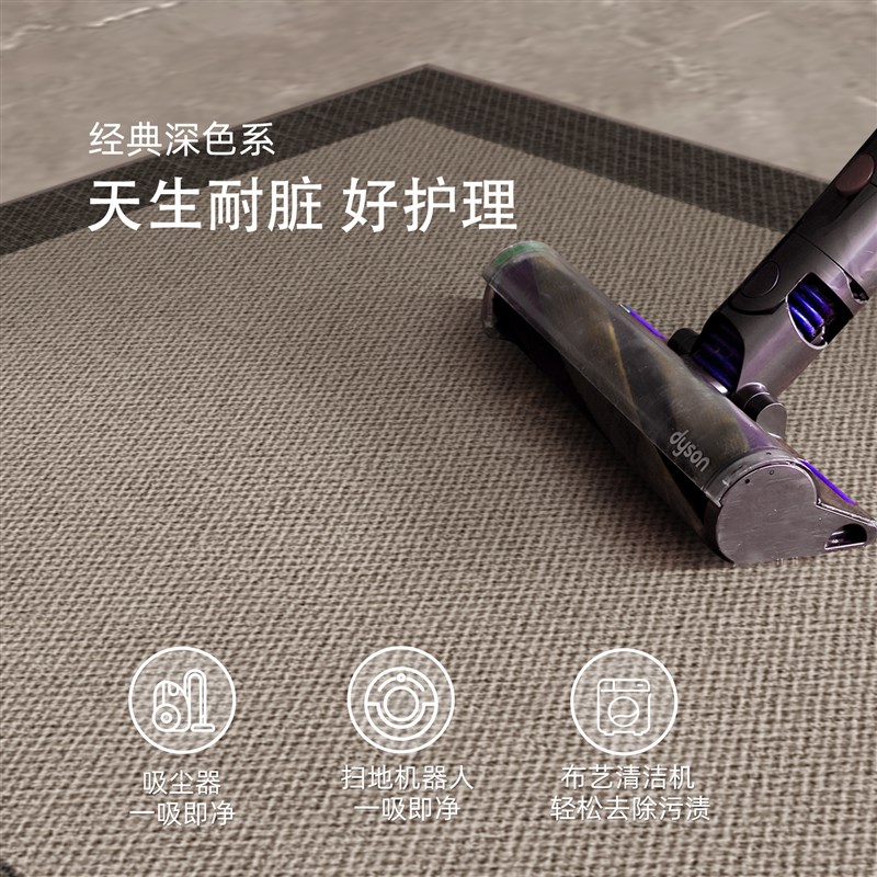 地垫入户门垫2025新款高端进门门口入门脚垫耐脏防滑家用玄关地毯