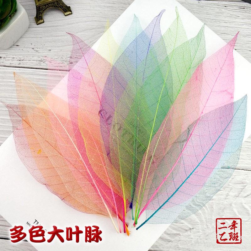 自制手工叶脉书签diy材料天然玉兰菩提树叶古典中国风创意学生用