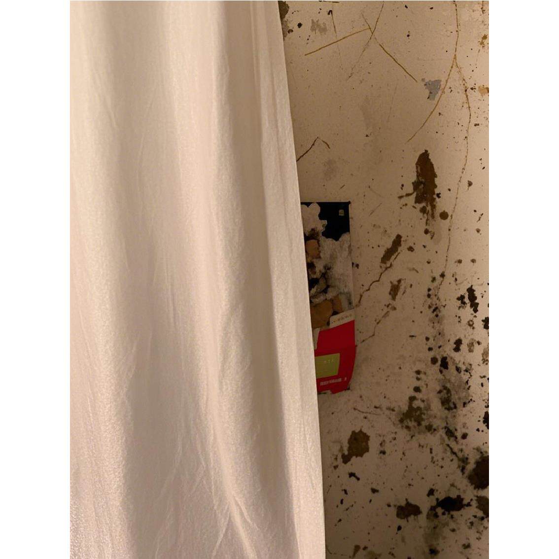 直播间免打孔背景窗帘魔术贴主播直播背景网红主播白纱纱帘装饰
