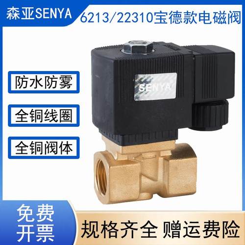 6213-04 4分宝德型电磁阀水阀气阀油阀SY22310-15AC220V2分4分1寸