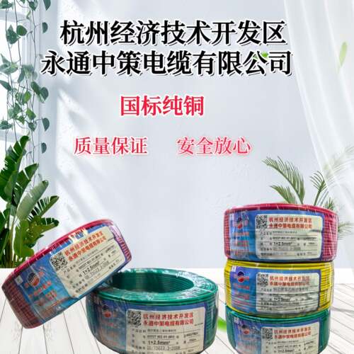 杭州杭缆牌永通中策BV1.5/2.5/4/6/10平方单芯线国标电线足米