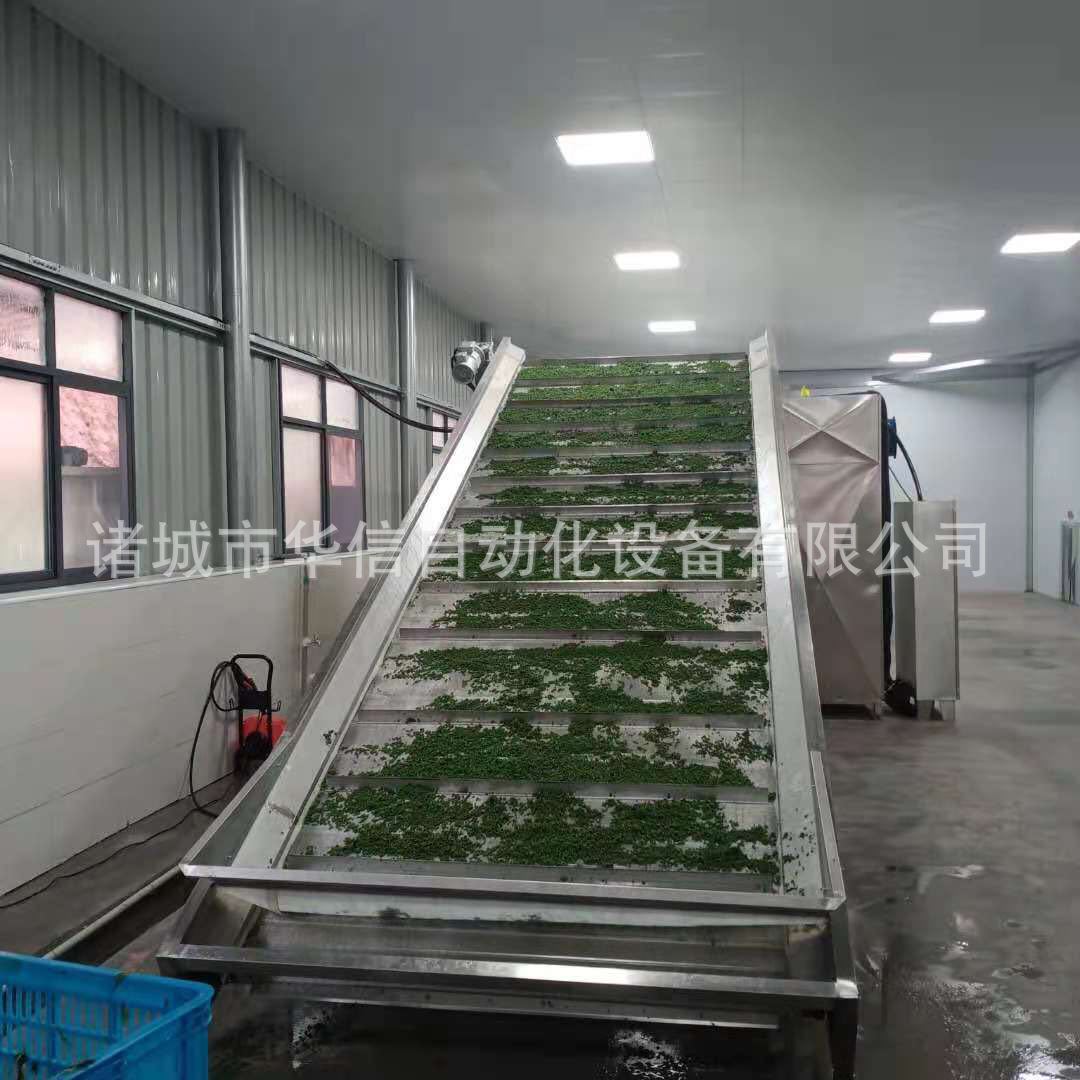 大型萝卜烘干生产线设备厂家 烘萝卜干的机器萝卜烘干机械烘干箱