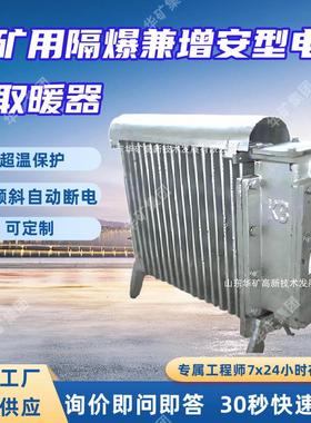 按需供热 经久耐用 RB-2000/127(A)煤矿用隔爆兼增安型电热取暖器