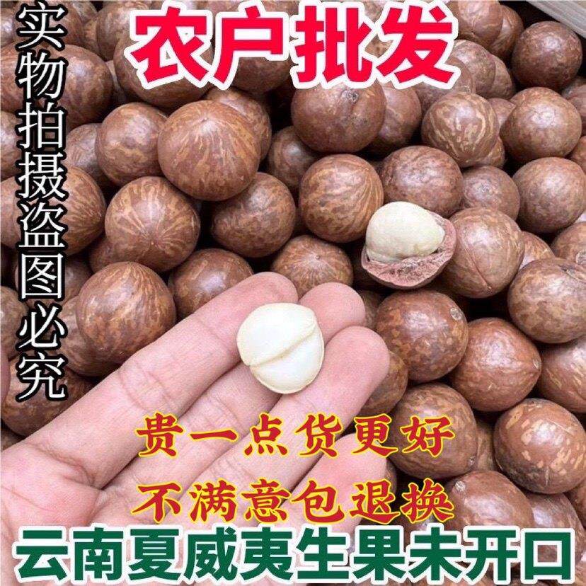 新货 澳洲坚果夏威夷果散装整箱3公斤原味奶香云南孕妇干 干果零