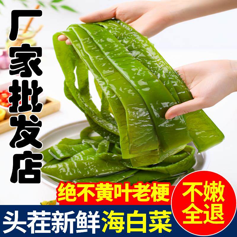 海白菜新鲜盐渍裙带菜梗段5斤商用半干货非即食海藻海带海芹菜