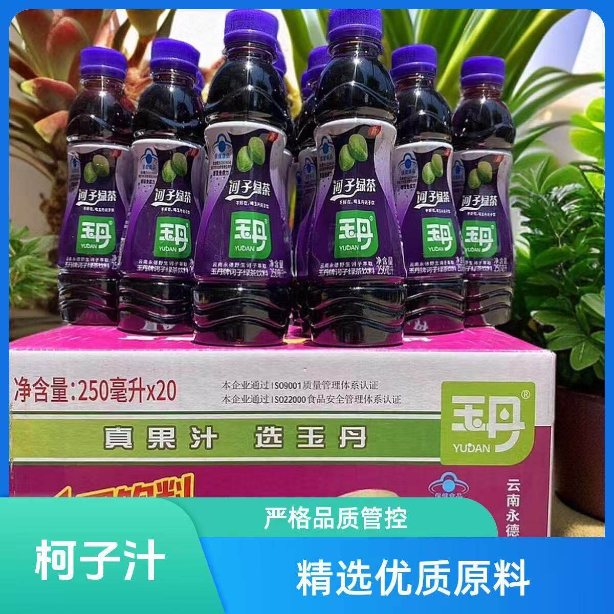 云南临沧永德玉丹诃子汁绿茶水果饮料清凉回甘橄榄芒果酸角柯子汁