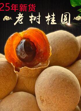 2025年新货高州特产老树桂圆干天然生晒大果龙眼干农家土山货