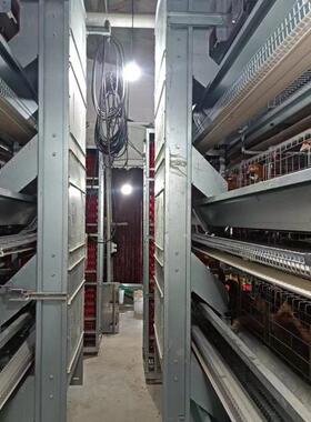 养鸡动设生产自备厂家动喂料线饮水捡蛋清粪全自上料设BLQ备定制