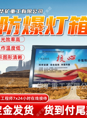 显示图像清晰防爆灯箱 工作温度低防爆灯箱 DHS12/12L(C)防爆灯箱