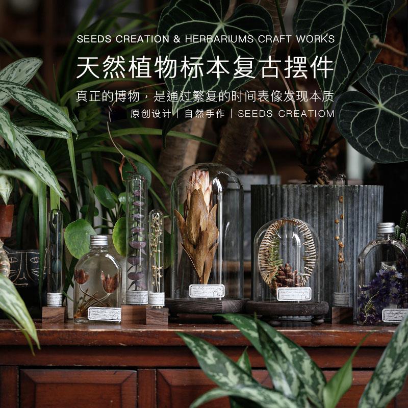 天然植物干花永生花玄关侘寂风装饰博物桌面摆件玻璃罩标本装饰