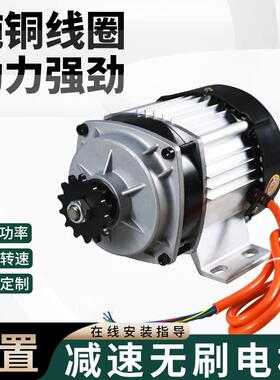 电动人力三轮车电机48v60V改装中置直流无刷马达割草机马达