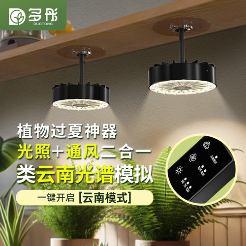 多彤带通风绿植多肉补光上色灯