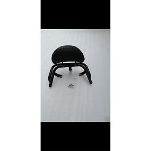 林海飞鹰三阳酷奇S5CUXI雅格摩托车电动车后靠背尾翼尾架配件防水