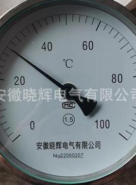 万向型双金属温度计WSS-481WSS-581