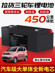 三轮车四轮车电动汽车专用电瓶电动车磷酸铁锂电池48v60v72v100ah