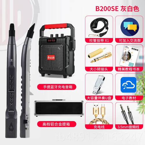 正品雅思乐电初吹管B300por葫x0萨克斯笛子学成人老年人20S芦丝乐