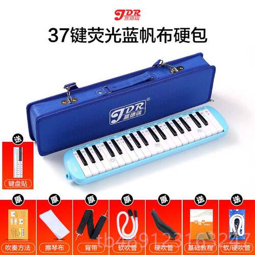 正品嘉德小瑞口风琴37键学学生用专业演奏级乐吹管器初者儿童成人