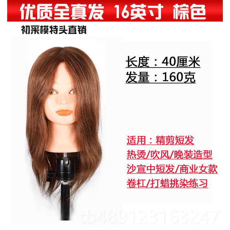 正品美发假模头模真发 全真 学徒模特头真发卷烫可发染剪发头型假