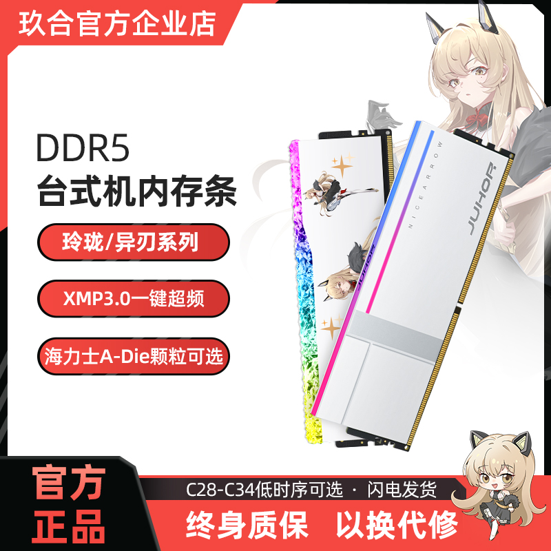玖合海力士颗粒内存条DDR5台式机