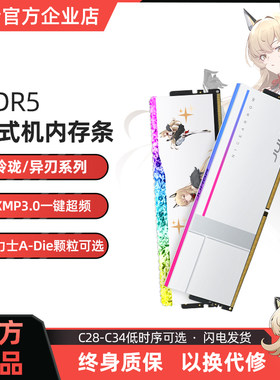 玖合海力士颗粒内存条DDR5台式机