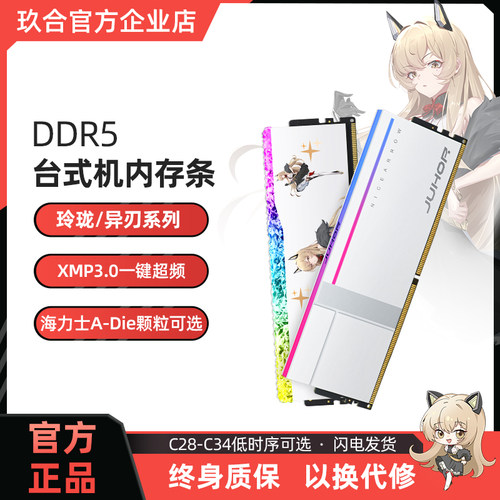 玖合海力士颗粒内存条DDR5台式机