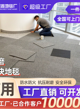 办公室地毯商用方块毯满铺整铺拼块毯大面积水泥地拼接地垫台球厅