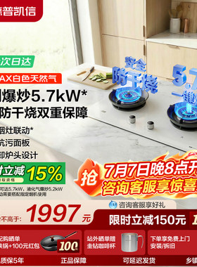 【旗舰顶配款】德普燃气灶D5MAX
