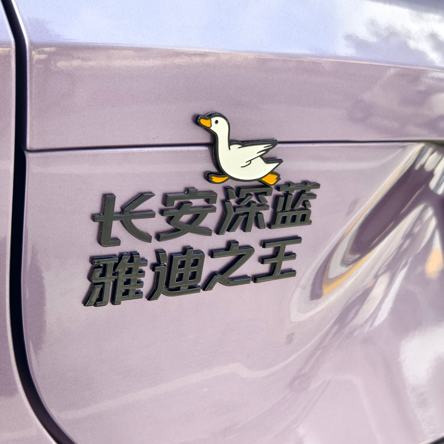 长安深蓝S035汽车标贴3D立体搞笑