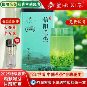 蓝天茗茶2025春茶信阳毛尖绿茶雨前特级茶叶绿茶芽叶浓香罐装250g