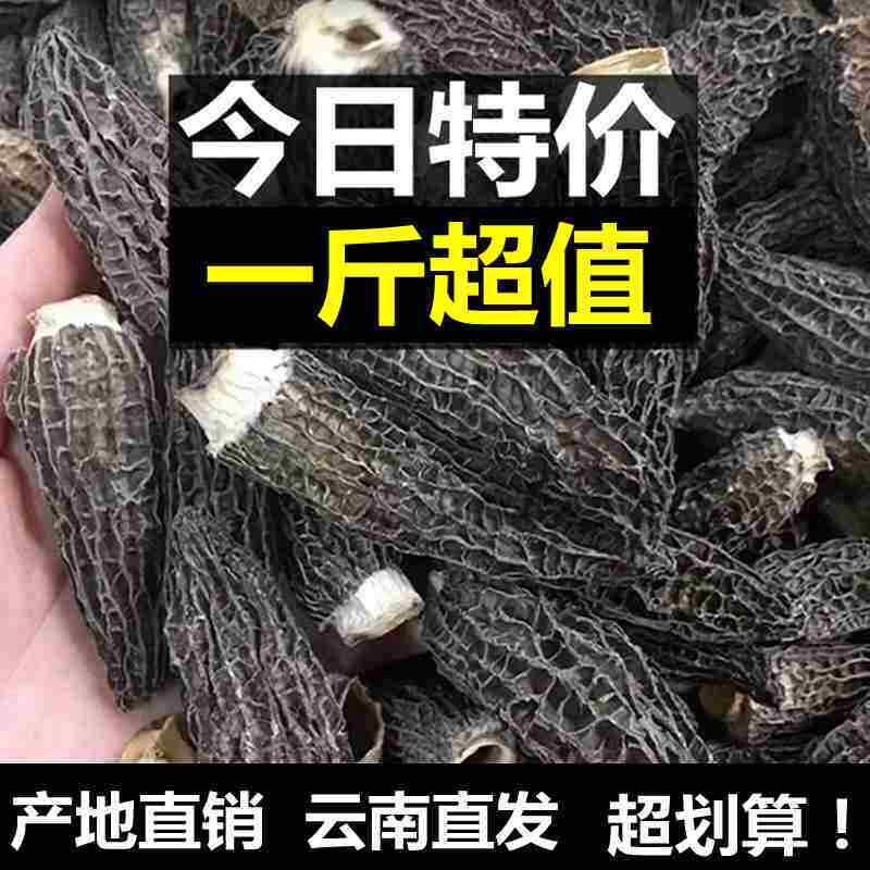 云南羊肚菌干货野生250g特价短柄羊肚菇蘑菇菌类土特产非新鲜500g
