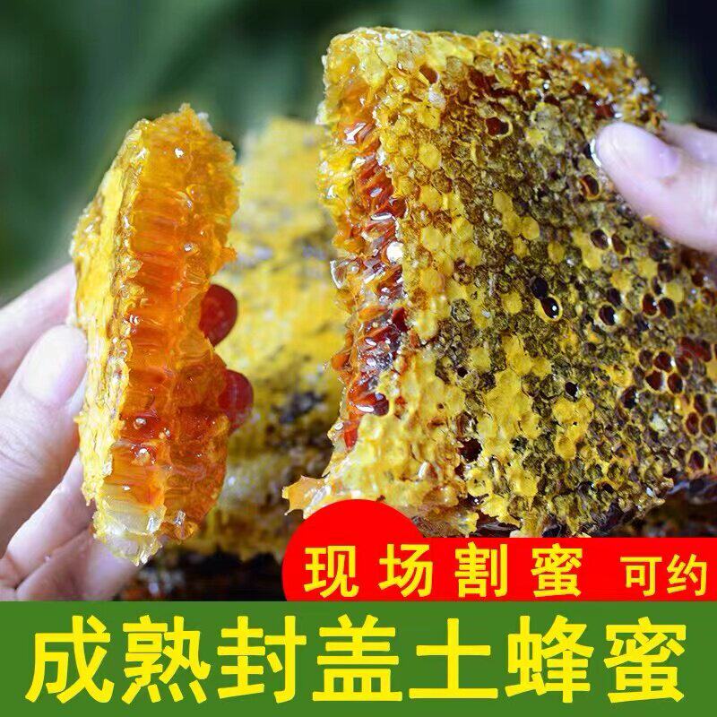 广东野生土蜂蜜500g深山百花蜜 纯正压榨天然成熟冬季采收蜂巢蜜