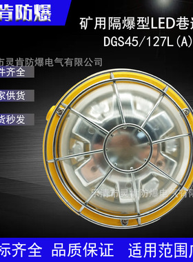 矿用隔爆型LED巷道灯DGS45/127L(A) DGS50/127L(A)井下防爆照明灯