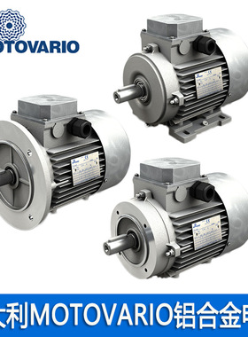 意大利MOTOVARIO铝合金电机TS63B4-0.18KW 三相异步电机现货 原装