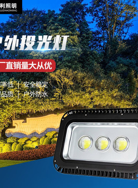 LED黑色隧道灯100W150W200W250W300大功率广场投光灯广告招牌灯