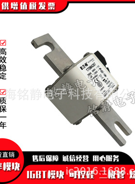 170M4713 170M4714 170M4715巴斯曼170M4716全新现货170M4717