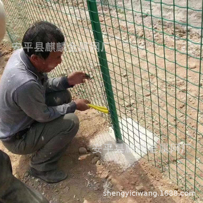养鸡铁丝网围栏/圈地围栏网/公路防护网/果园围栏网/圈地护栏网厂