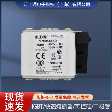 170M4458 170M4459 170M4460 170M4461 170M4462 170M4463熔断器